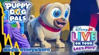 Puppy Dog Pals 🐾✨ Disney Jr Live Let&rsquo;s Play Show Scenes