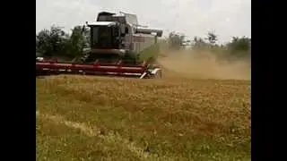 Claas lexion 460 la treierat de grau !