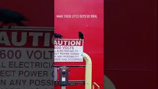 This is one of the videos that the Crofton Pulp Mill Catalyst tried to fire me for