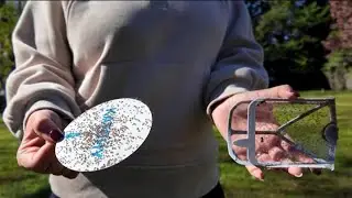 Neighbors overwhelmed with fly infestation