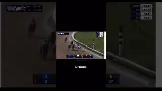 My horse Opal used to be a real race horse