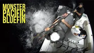 Big Tuna Dreams Season 1 Episode 4 Monster Bluefin Tuna out of the Pacific