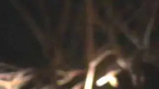 Loon Lake Cemetary (short version)