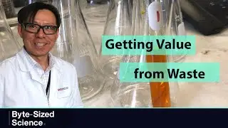 Mining Value from Waste (Byte-Sized Science)