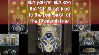 Black Arts Toneworks Son Of Pharaoh / Killer Distortion Fuzz pedal / Like father, like son.