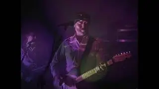 The Zephyrs – “Leatherback” (videoclip)