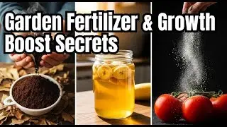 Garden Fertilizer & Growth Boost Secrets