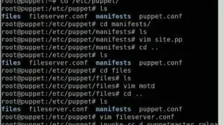 Server Configuration with Puppet