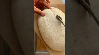 Porque dicen que el pan de masa madre es saludable? 🥖 #sourdoughbread #pandemasamadre