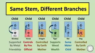 How to Interpret if the Heavenly Stem generates or Controls the Earthly Branch? - 16th Live (1)