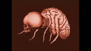 Area 23 - Virus Mortel (Acid / Mental)