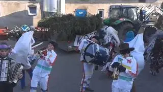 Koza Paniewo 2015