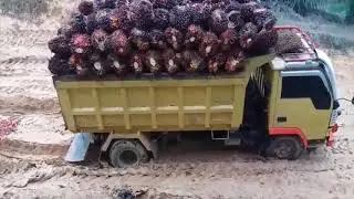 Sopir nekat