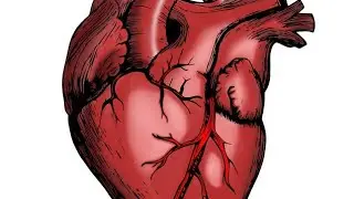 (RMP + tissue fluid formation + edema) 5th physiology lecture anatomy NHB