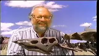 THE DINOSAURS The Nature of the Beast