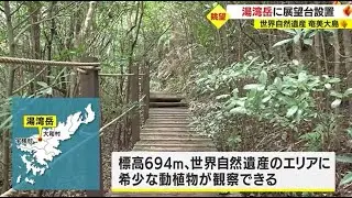 世界自然遺産の島・奄美大島　最高峰の湯湾岳に新たな展望台を整備　鹿児島（2022.11.25）