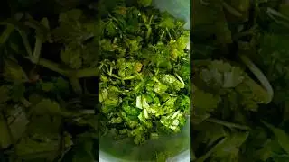 #ramazanseries #episode3 #greenchutney #makeandfreeze