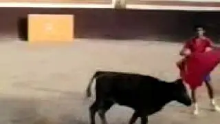 emili0 charriand0