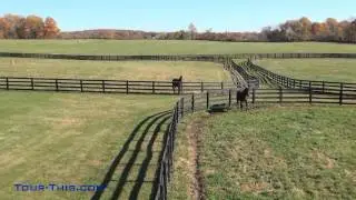 Peretti Farms Yearling Farm Cream Ridge New Jersey 08514