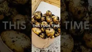 Growing Food Isn&rsquo;t About Harvests