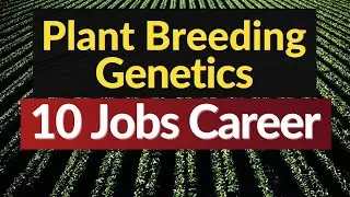 jobs career in Plant Breeding and Genetics I Plant Breeding Jobs I Plant Breeder I B tech jobs