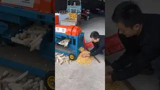 peanut shelling machine can #peanutshellingmachine #newpeanutshellingmachine #shorts #shortsfeed