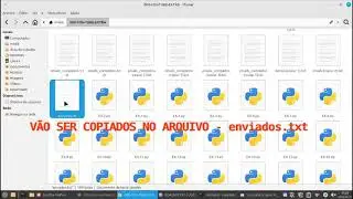 Python Script - YouTube Email Scraper & Mailer Bot - TEST SENDING 8 EMAILS AUTOMATICALLY