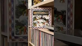 The Breeders - Safari Ep