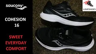Saucony Cohesion 16 Budget Runner or Bargain Beater ?