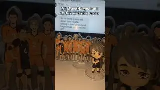 Temu haikyuu haul