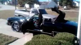75 donk vert   proof of stunting!  DONK T.V