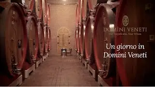 Un giorno in Dom&igrave;ni Veneti