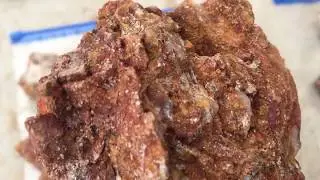 Goodyear Gold and Silver Ore Samples - Volume 2