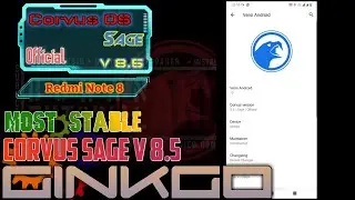 Rom Corvus Ginkgo‼️Cara Instal Rom Corvus di Redmi Note 8 GINKGO‼️