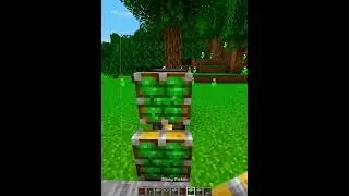 Minecraft Automatic Door💀
