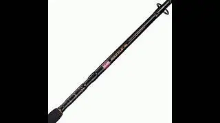 Penn Battle III Spinning Reel and Fishing Rod Combo