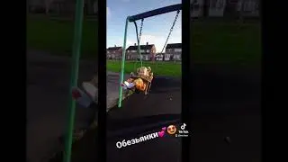 Сладких Обезьянки  #shorts #fun #activity #сестрички #sisters #качели