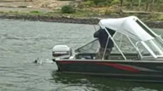 How To Net a Salmon By Yourself
