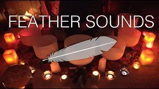 Flapping Feathers Healing Sounds (4k, No Talking, Unintentional ASMR)