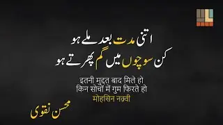 Itni Muddat Baad Mile Ho | Mohsin Naqvi | इतनी मुद्दत बाद मिले हो | Urdu Poetry | Yadein