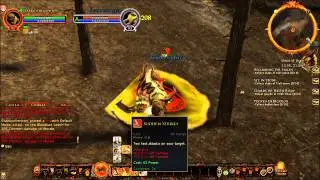 Wardenofrenown - Reaver in a Nutshell