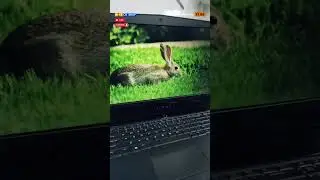 Alienware 17 R5 Core i9