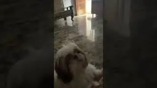 Fight mode on 😂