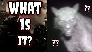 Mysterious Cryptid Caught On Camera in The UK?