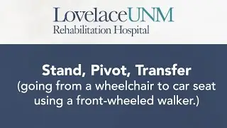 Stand, Pivot, Transfer &ndash; From Wheelchair to a Car Seat