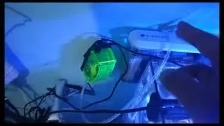 Apakah protein skimmer perlu? Moso sehh#aquariumhobby #reeftank 