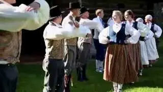 Vihista Viisku - 