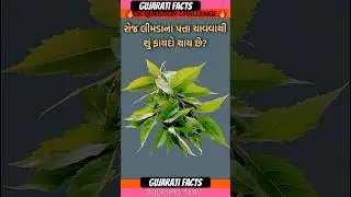 રોજ લીમડાના પત્તા ચાવવાથી Gk question and answer #short #shorts #gkq #gujarat #gk #challenge #facts