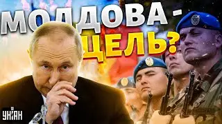 Это надо видеть! Путин собрался 