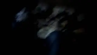 Oops  Ontario police did it again Jan 25/26